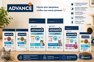 Фото компании Альпака-Бел